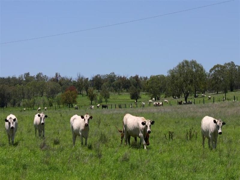 . Echo, Kumbia QLD 4610