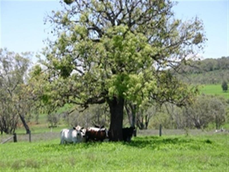 . Echo, Kumbia QLD 4610