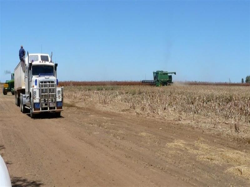 Dalby QLD 4405
