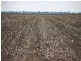 Dalby QLD 4405