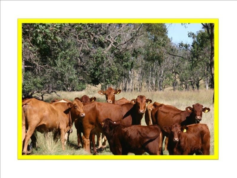 Kumbia QLD 4610