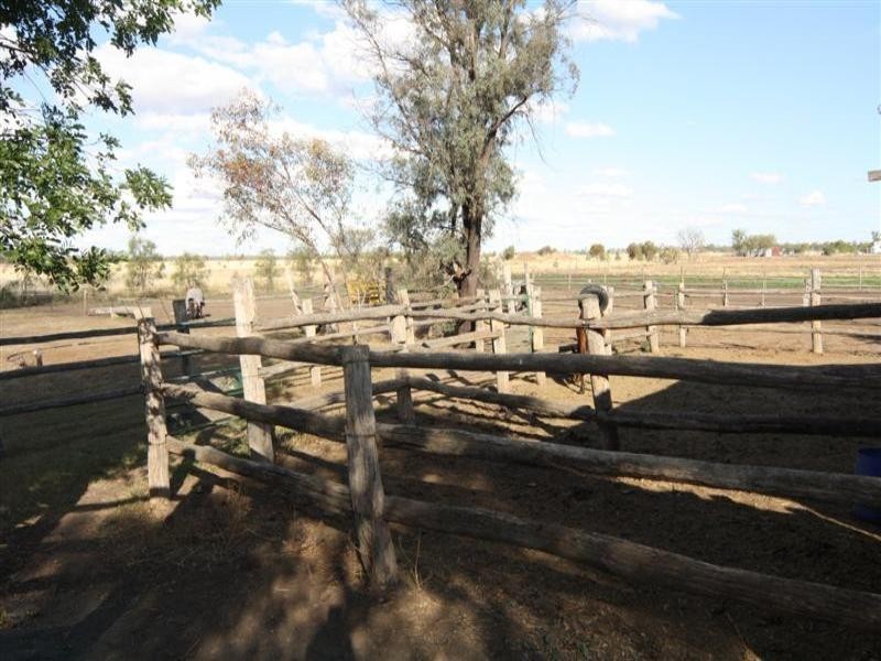 29 Sandalwood Avenue, Dalby QLD 4405