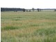 Condamine QLD 4416