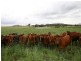Dalby QLD 4405