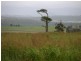 Dalby QLD 4405