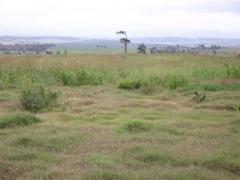 Dalby QLD 4405