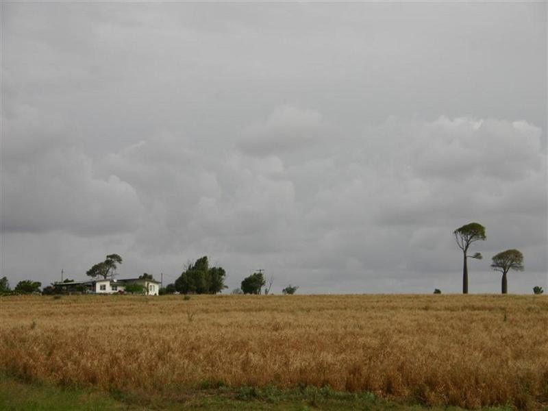 Dalby QLD 4405