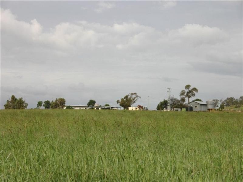 Dalby QLD 4405