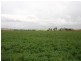 Dalby QLD 4405