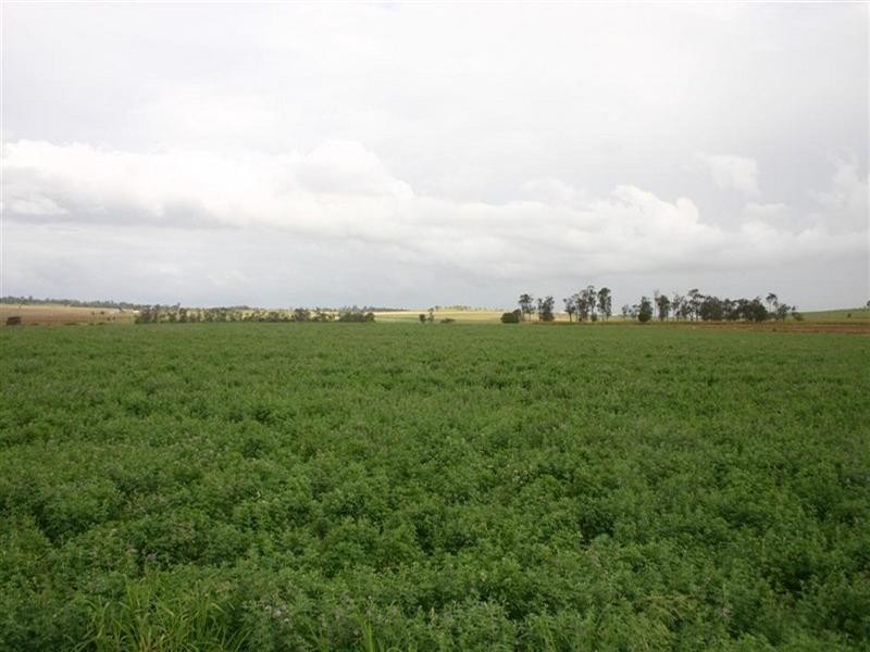Dalby QLD 4405