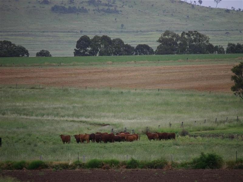Dalby QLD 4405