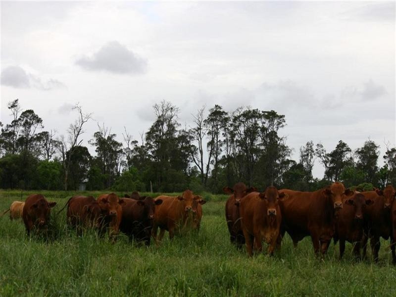 Dalby QLD 4405