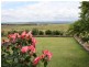 Dalby QLD 4405