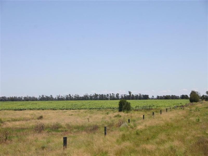 Tara QLD 4421