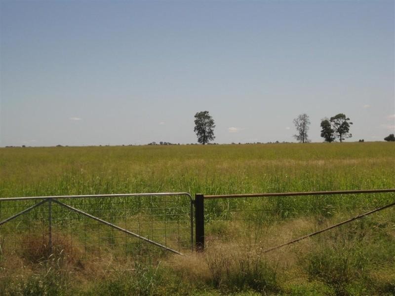 Tara QLD 4421