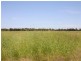 Meandarra QLD 4422