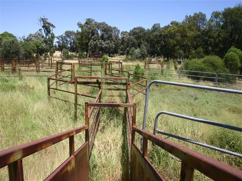 Meandarra QLD 4422