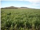 Clifton QLD 4361