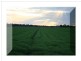 Dalby QLD 4405