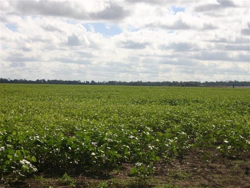 . BELAHVILLE, Jandowae QLD 4410