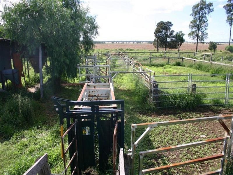 . BELAHVILLE, Jandowae QLD 4410