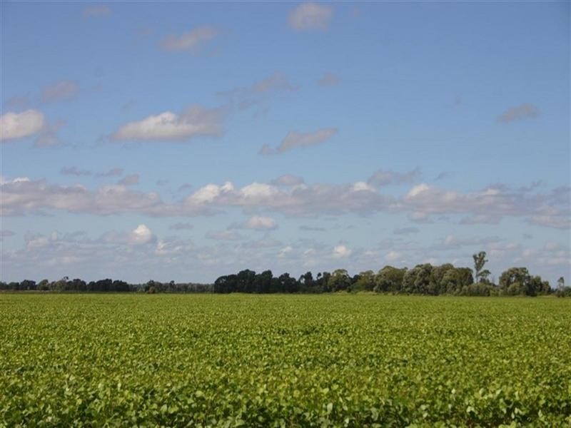 . BELAHVILLE, Jandowae QLD 4410