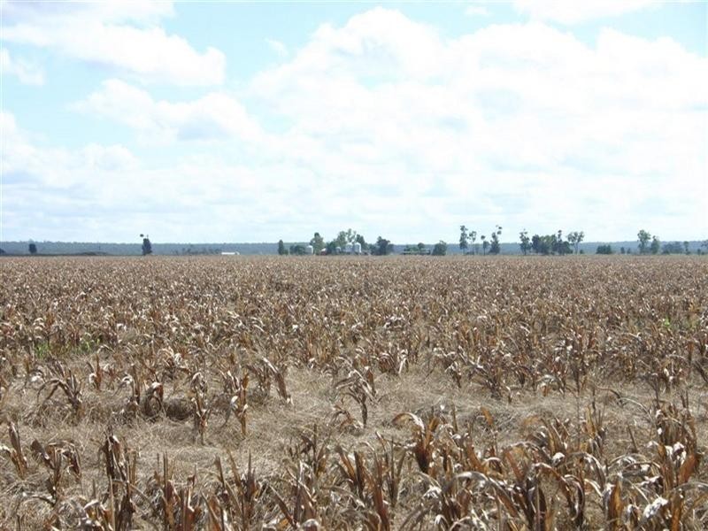 . BELAHVILLE, Jandowae QLD 4410