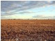 Dalby QLD 4405