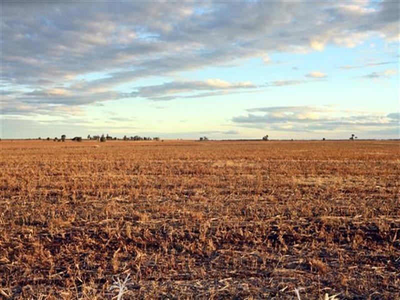 Dalby QLD 4405