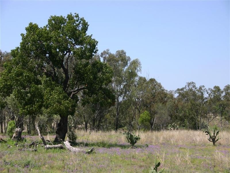 Dalby QLD 4405