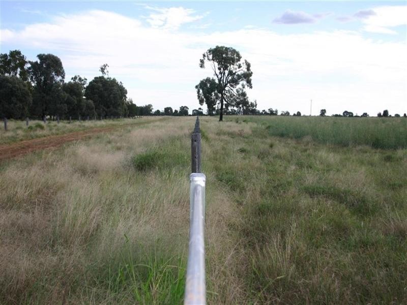 Meandarra QLD 4422