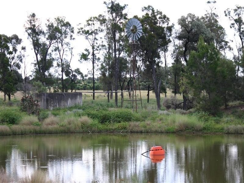 Meandarra QLD 4422