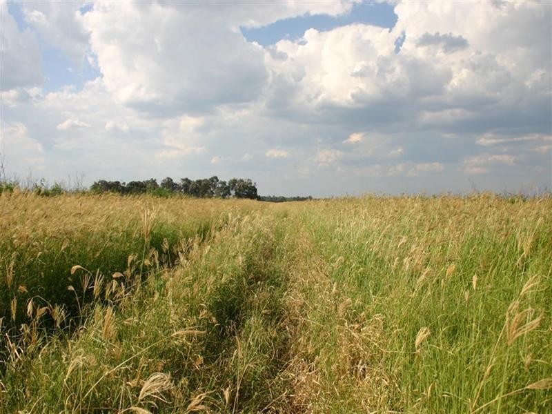 . ALLAWAH and LINGI, Chinchilla QLD 4413