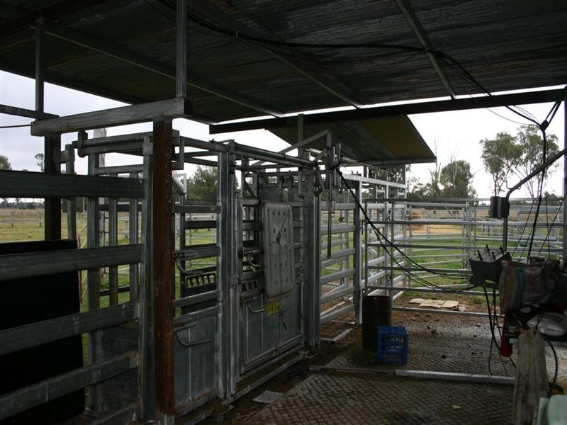 . ALLAWAH and LINGI, Chinchilla QLD 4413