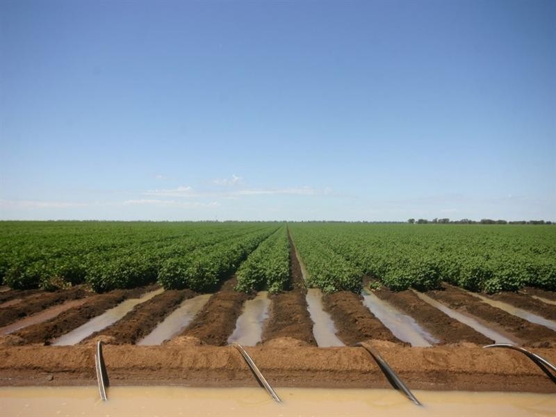 Dalby QLD 4405