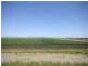 Dalby QLD 4405