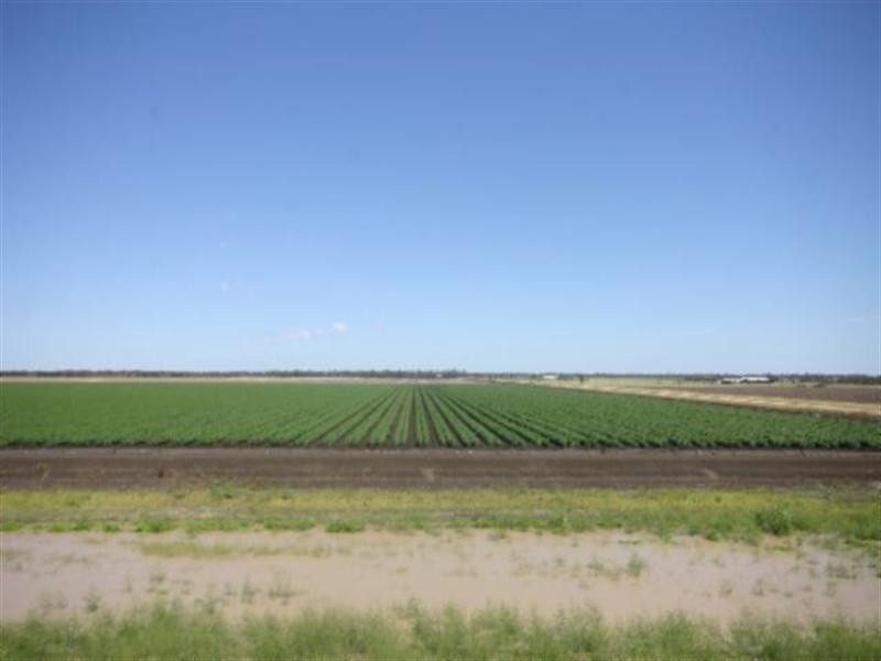Dalby QLD 4405
