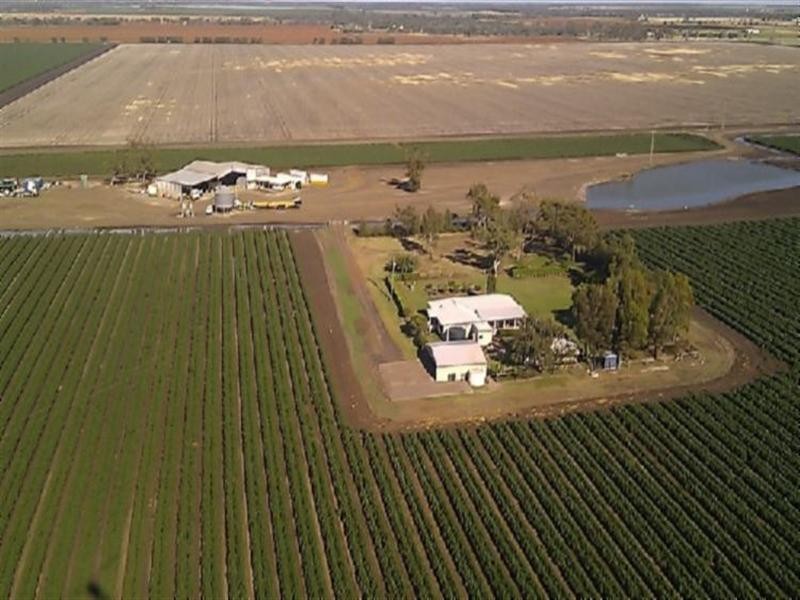 Dalby QLD 4405