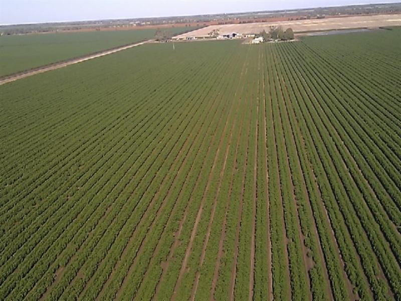 Dalby QLD 4405
