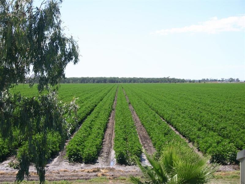 Dalby QLD 4405
