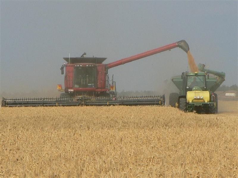 Condamine QLD 4416