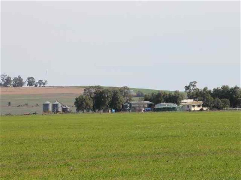 Dalby QLD 4405
