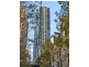 2604/100 Gloucester Street, Sydney NSW 2000