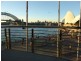 Sydney NSW 2000