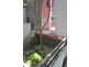 Woolloomooloo NSW 2011