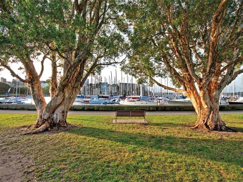 71/20 McLachlan Avenue, Rushcutters Bay NSW 2011