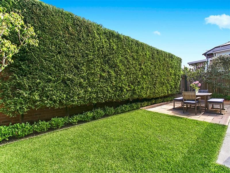 239 Birrell Street, Bronte NSW 2024