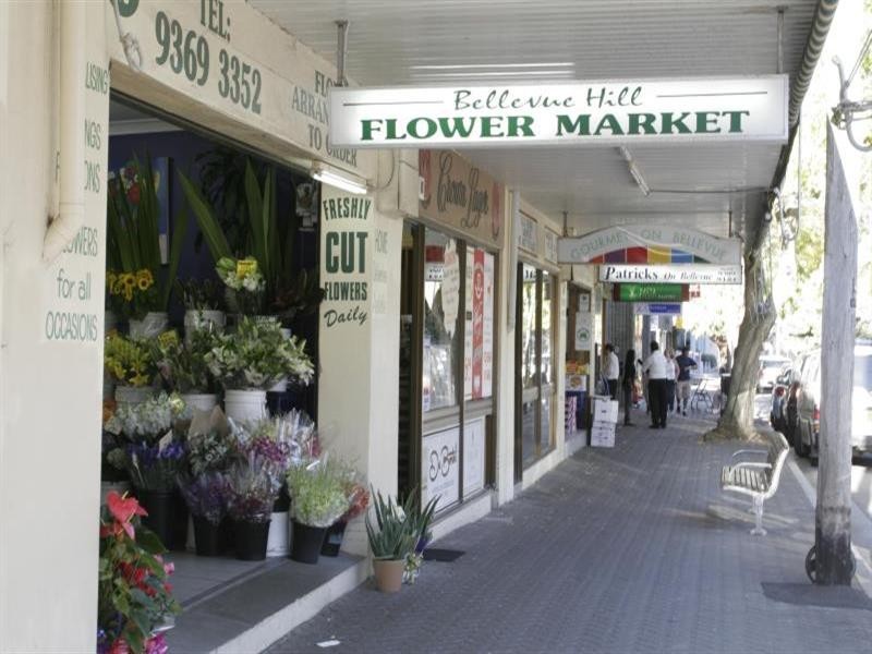 1a/54 Cranbrook Road, Bellevue Hill NSW 2023