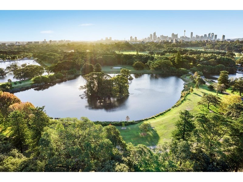 30 Wentworth Street, Randwick NSW 2031