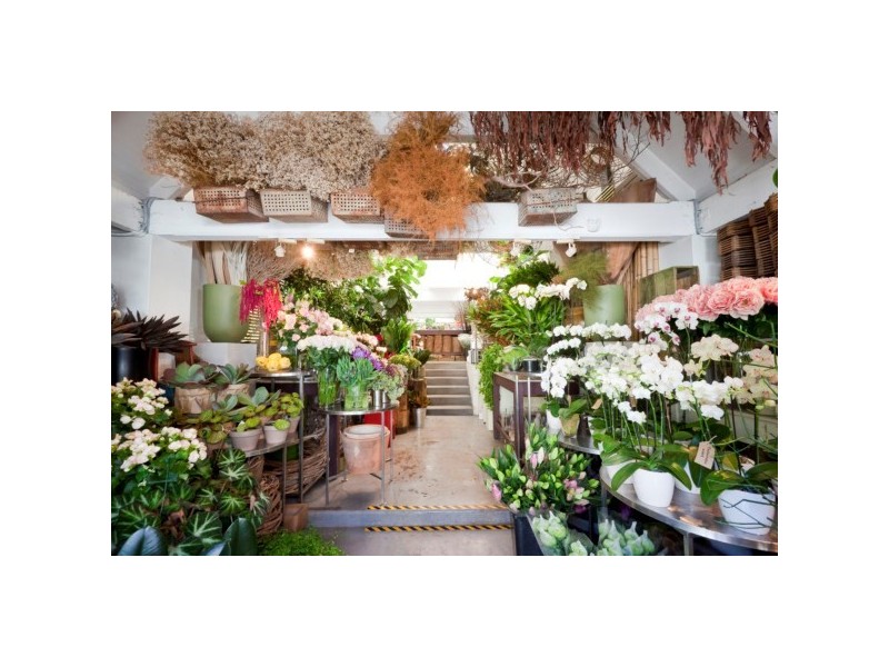 77-79 Bay Street, Glebe NSW 2037